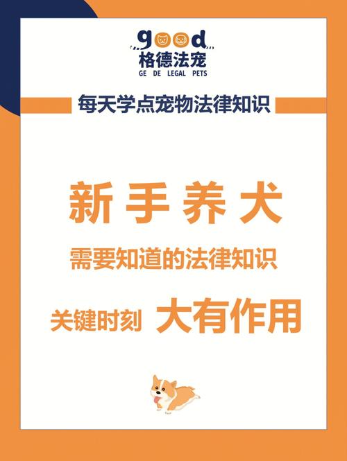 养犬的法律规定及注意事项