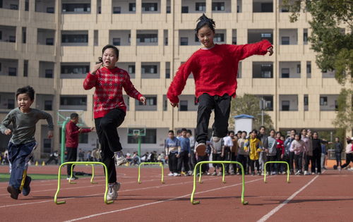 小学体育片段教学题目