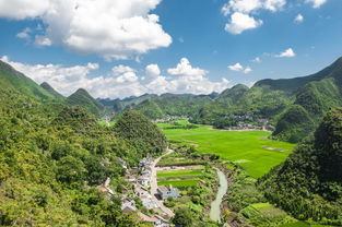 喜迎国际山旅会跑在万峰成林处沐浴阳光黔西南｜万峰林马拉松赛事回眸