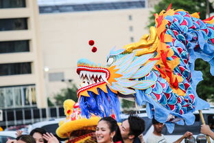 龙舟竞渡，逐梦温州——深度解析中华龙舟大赛温州站的魅力与启示